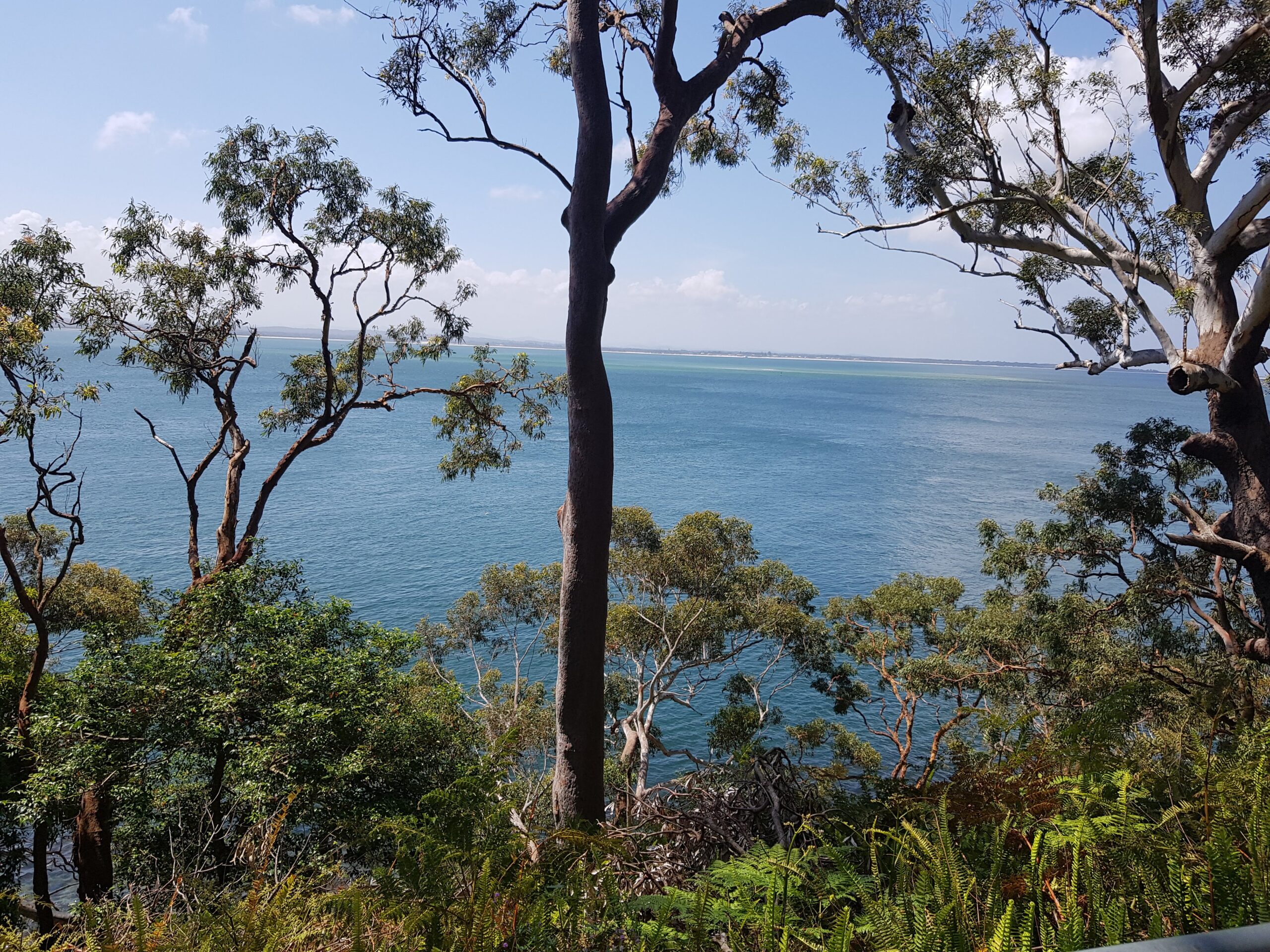 Bagnalls Beach